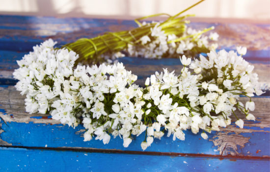 The Joys of Beltane and the Wild Transformation of Spring