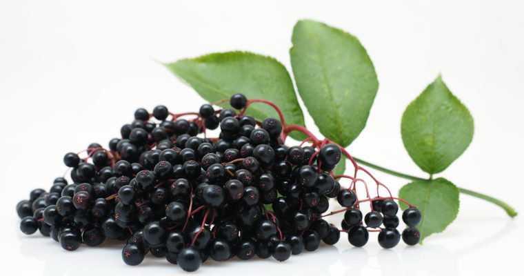 Yummy Vegan Elderberry Gummies